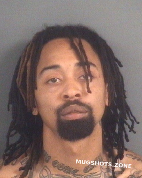 Stewart Isaac Rashell 02 15 2024 Cumberland County Mugshots Zone