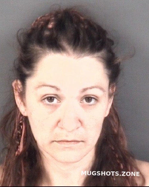 Nobles Stefanie Renae 06 10 2024 - Cumberland County Mugshots Zone