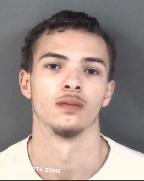 Deal Brandon Tyler 06 11 2024 Cumberland County Mugshots Zone