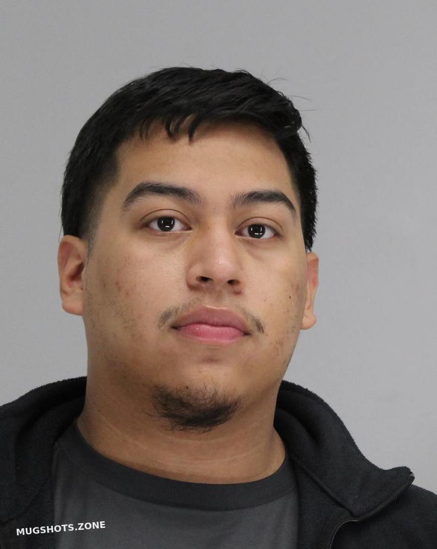 MEJIA DANIEL 11/11/2022 Dallas County Mugshots Zone