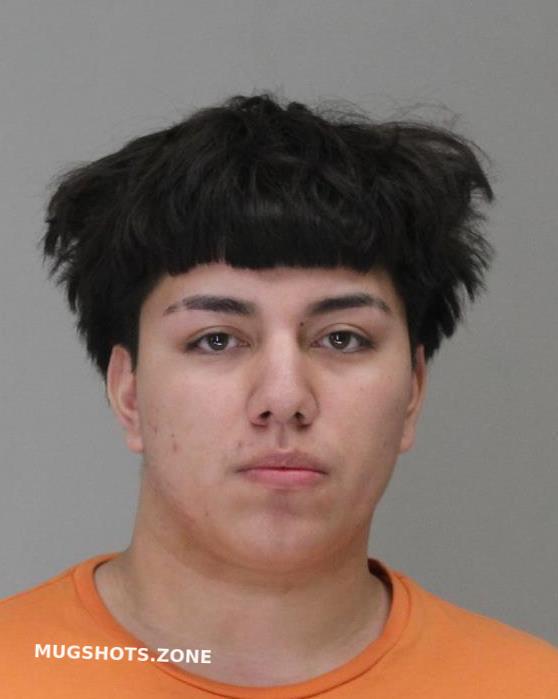 RIOS DANIEL 04/17/2023 - Dallas County Mugshots Zone