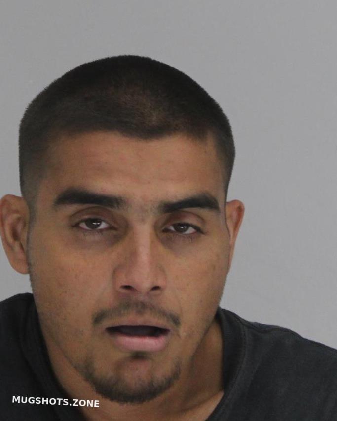 VENTURA HECTOR 04/20/2023 Dallas County Mugshots Zone