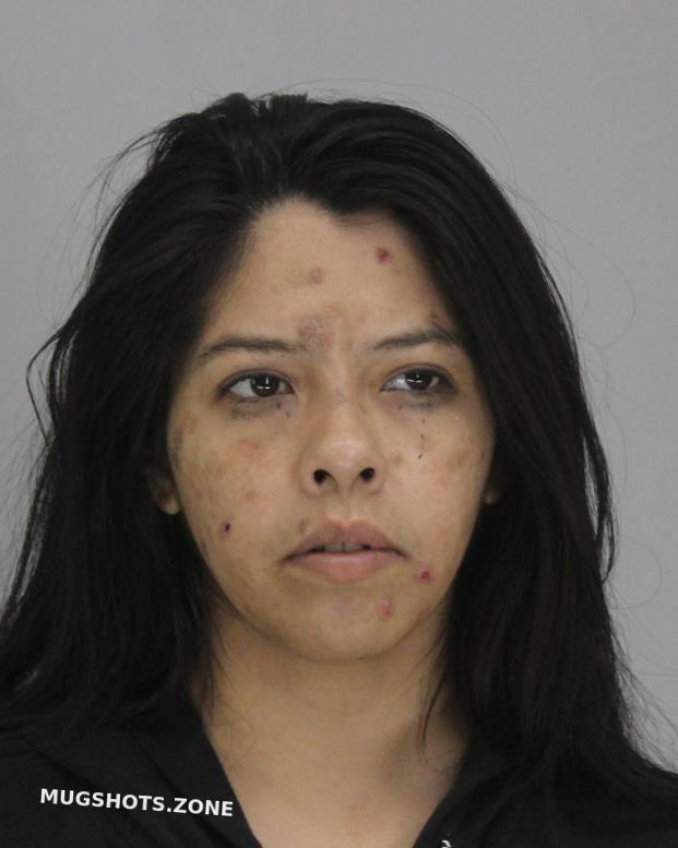 SANCHEZ ARLETTE 04/30/2023 Dallas County Mugshots Zone SANCHEZ ARLETTE 04/30/2023 Dallas County Mugshots Zone