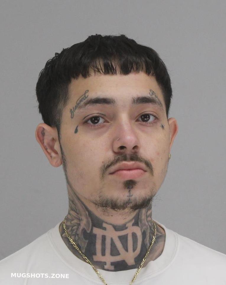 ROSALES JOHNNY 06/21/2023 - Dallas County Mugshots Zone