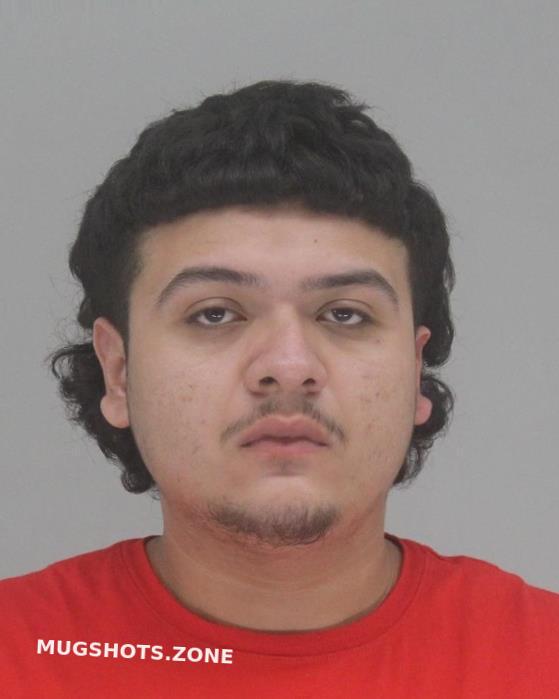 ZAVALA ANGEL 07/29/2023 Dallas County Mugshots Zone
