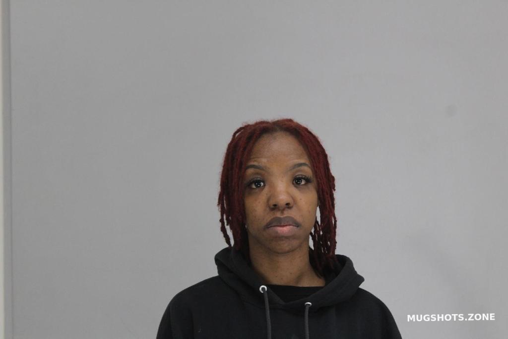 Aikins Shaniqua 01 14 2024 Dallas County Mugshots Zone