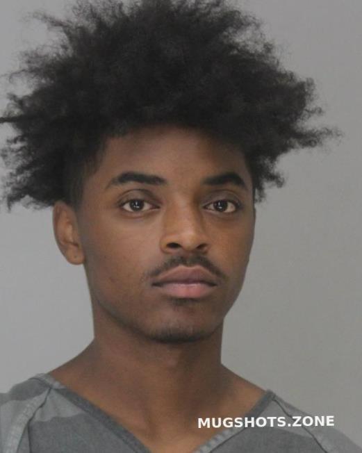 RICE JUSTICE 06/06/2024 - Dallas County Mugshots Zone