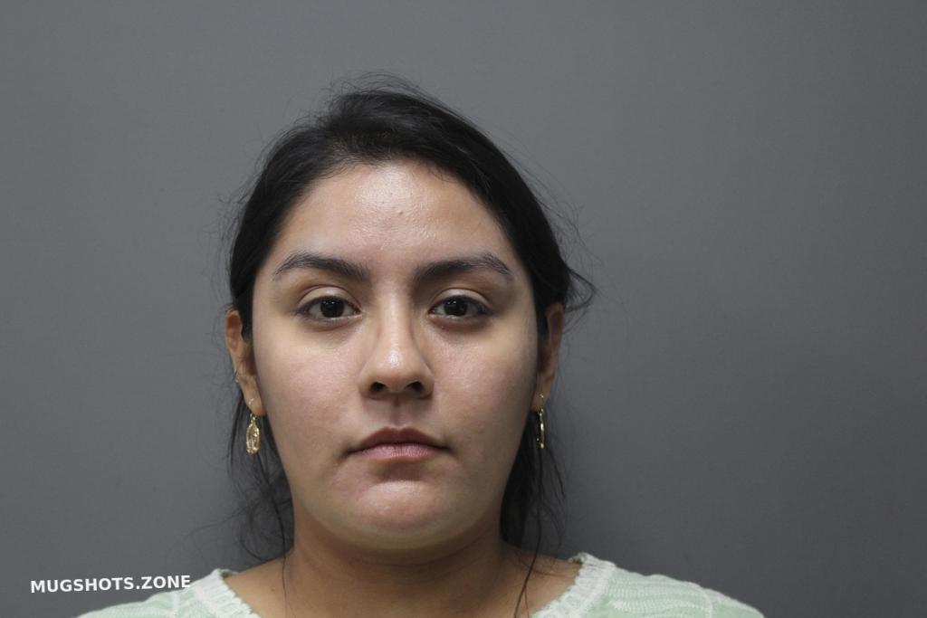 ARELLANO IVETTE 06/20/2024 Dallas County Mugshots Zone