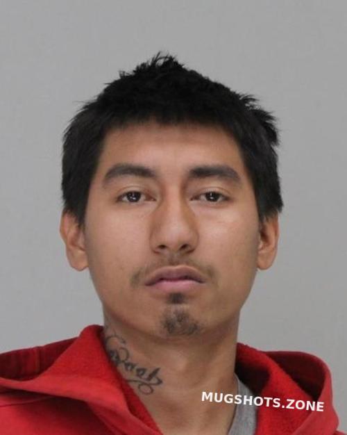 Castaneda Daniel 07 08 2024 - Dallas County Mugshots Zone