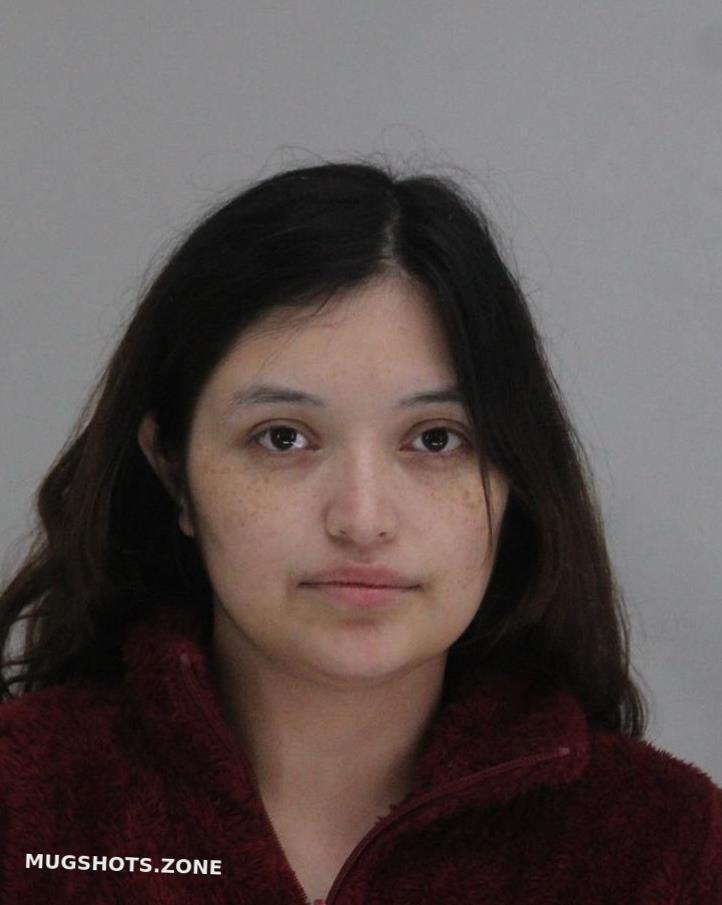 Gonzalez andrea 08 04 2024 dallas county mugshots zone
