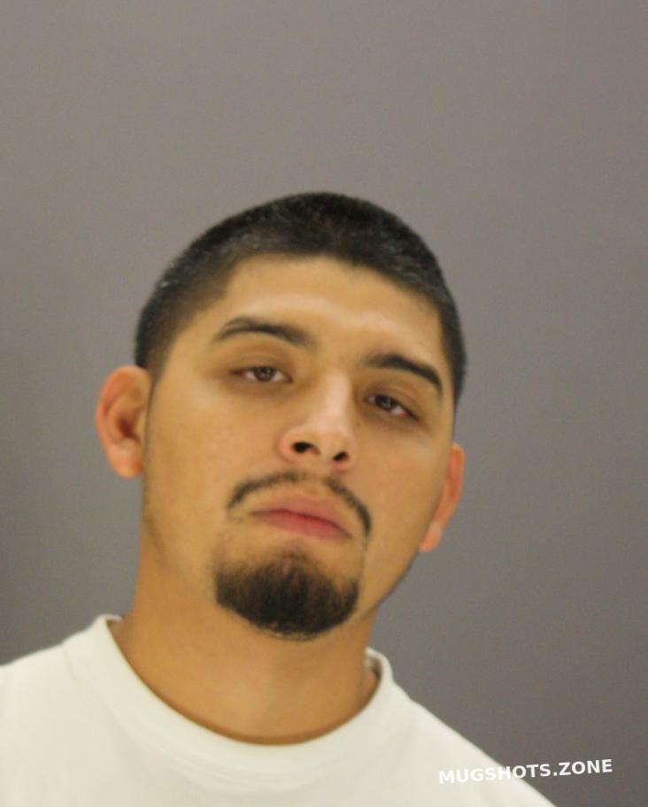 How to Navigate the Dallas County Mugshot Zone Effectively
