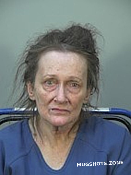 JOHNSON TERESA P 06/06/2021 Dane County Mugshots Zone