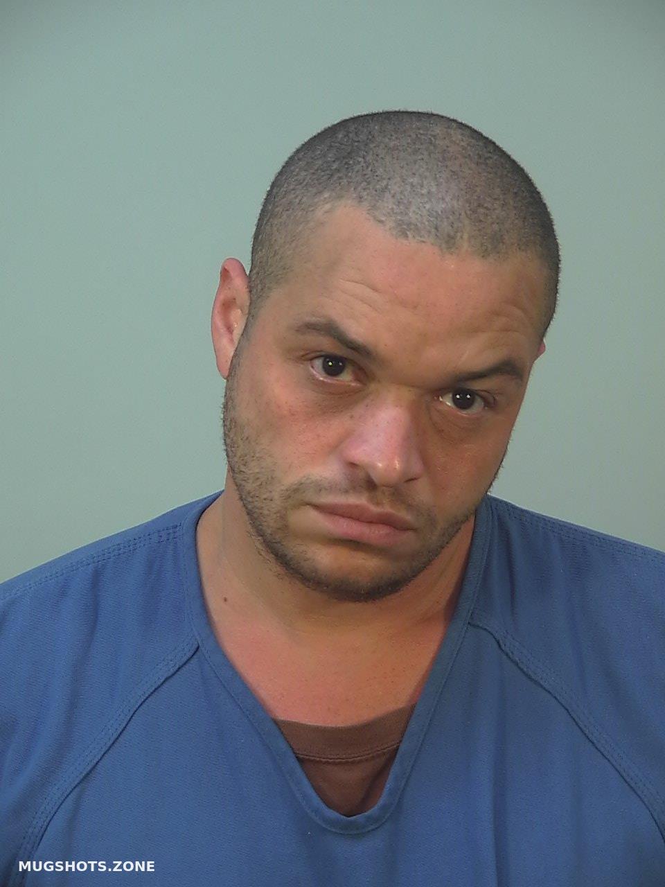 RING MICHAEL JAMES 05/06/2023 - Dane County Mugshots Zone