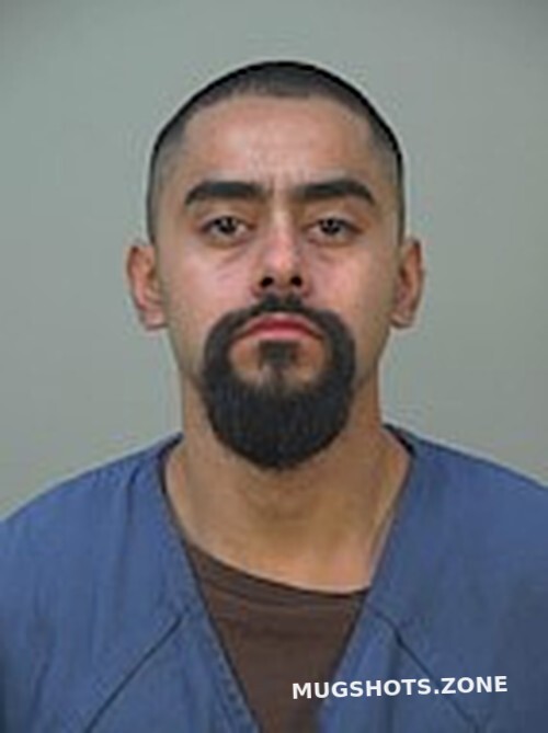 GONZALEZ-LEDEZMA LUIS ANTHONY 11/13/2023 - Dane County Mugshots Zone