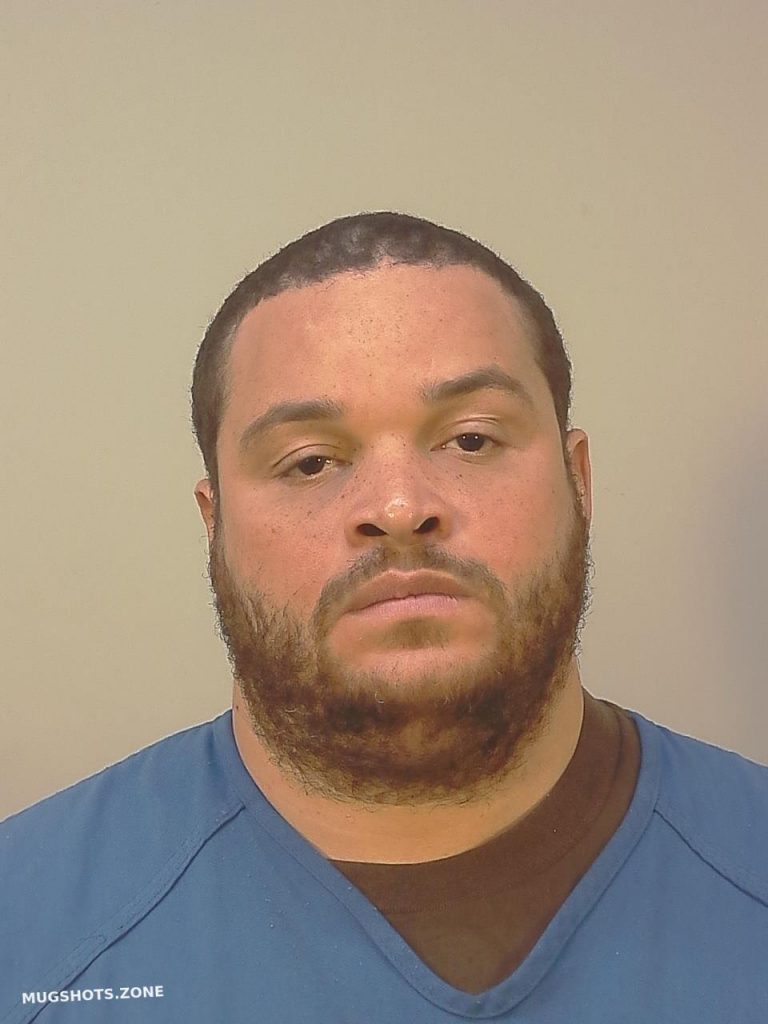 RING MICHAEL JAMES 06/14/2024 - Dane County Mugshots Zone