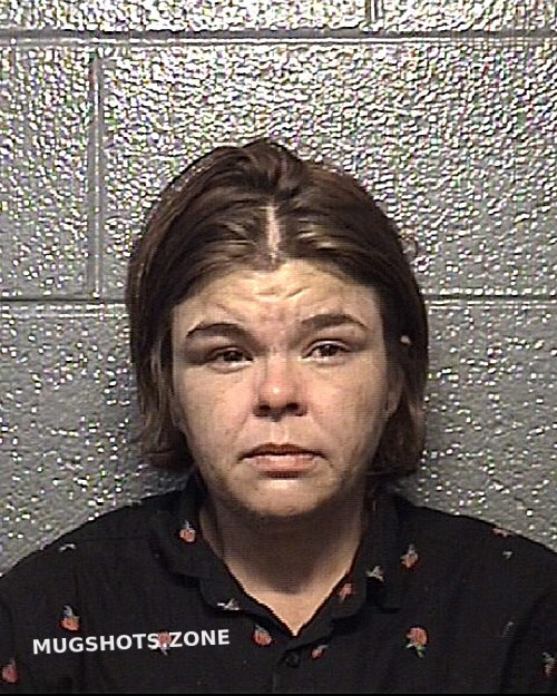 RAINEY LINDA GAIL 06/12/2021 - Danville Mugshots Zone