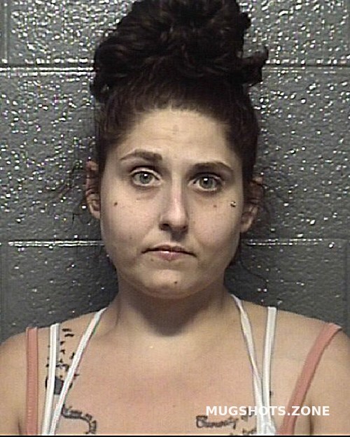 WISEMAN BRANDY LEA 07/29/2021 Danville Mugshots Zone