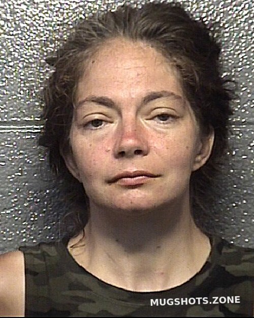 SONYA DENISE 09/15/2021 Danville Mugshots Zone