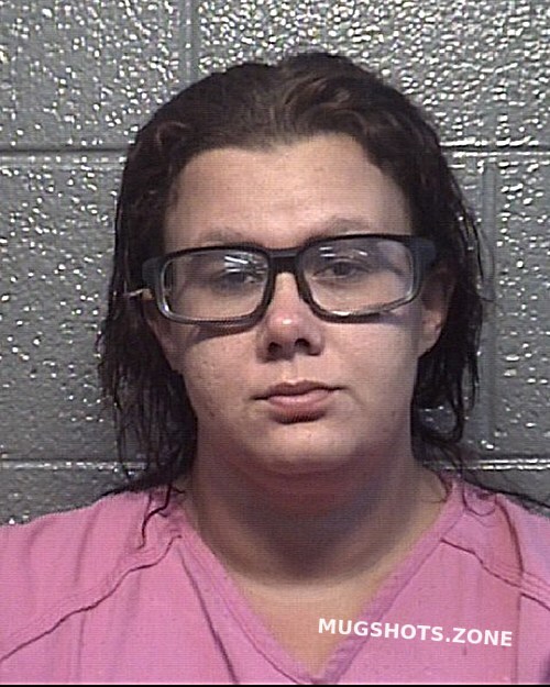 Doss Jessica Lynn 08 24 2022 Danville Mugshots Zone