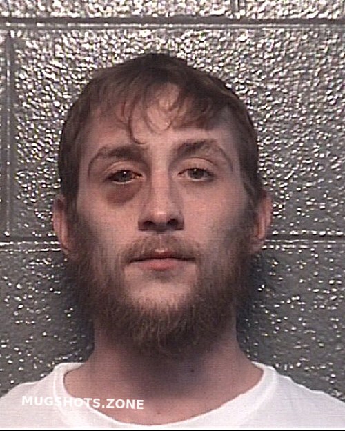 BALDRIDGE BRANDON ELLIS 10/28/2022 Danville Mugshots Zone