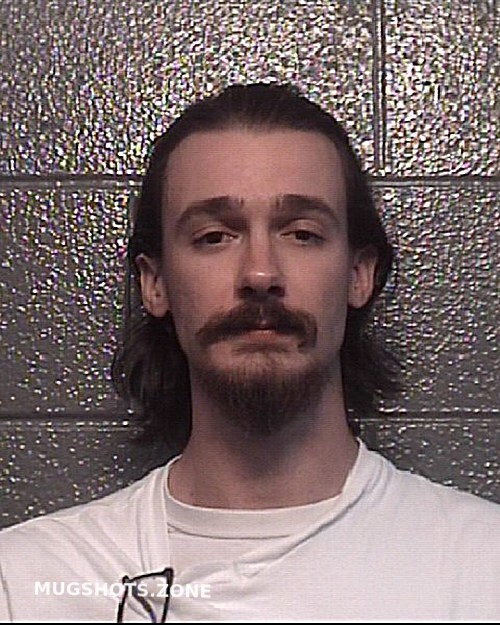 The Dark Side of Online Mugshot Websites: Exposing the Flaws of Danville Mugshots Zone