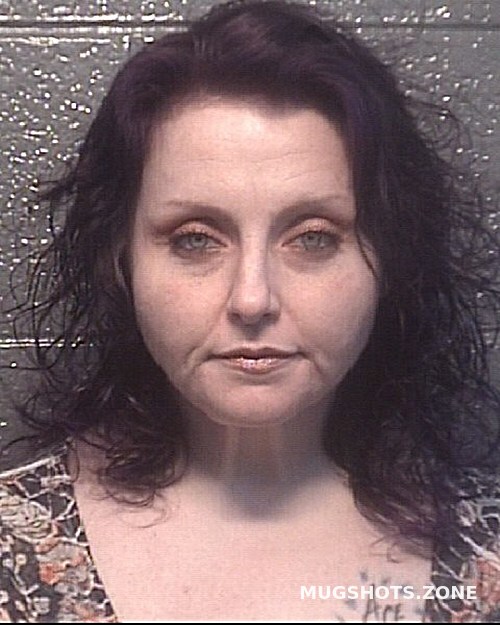 BRANDY NICOLE 02/12/2024 Danville Mugshots Zone