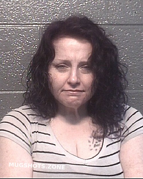 BRANDY NICOLE 05/17/2024 Danville Mugshots Zone