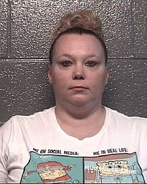 HOLTON VIRGINIA DANYEL 10/25/2024 - Danville Mugshots Zone