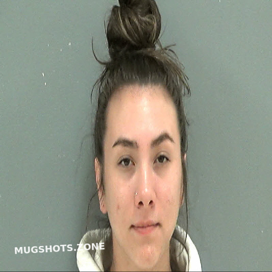 Darlington County’s Latest Rubberstamp: Davis Paislee Captured in Sharp Anne Mugshot Amid Ongoing Investigation