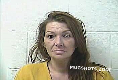 CAMBRON CONNIE CARLENE 08/22/2022 - Daviess County Mugshots Zone