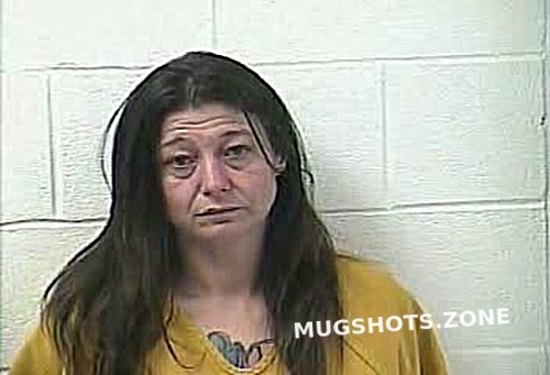 CARRICO CRYSTAL GAIL 12/28/2022 - Daviess County Mugshots Zone