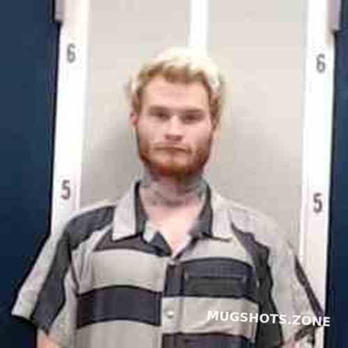 AUSTIN SMARTT 08/17/2021 DeKalb County Mugshots Zone