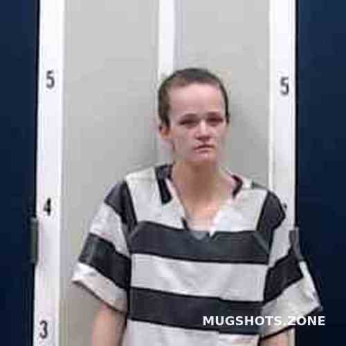 Rachel Reynolds 01 04 2023 Dekalb County Mugshots Zone