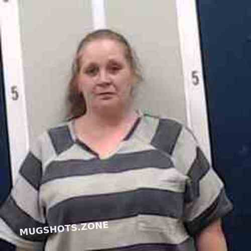 TERRI TOUCHSTONE 06/29/2023 - DeKalb County Mugshots Zone