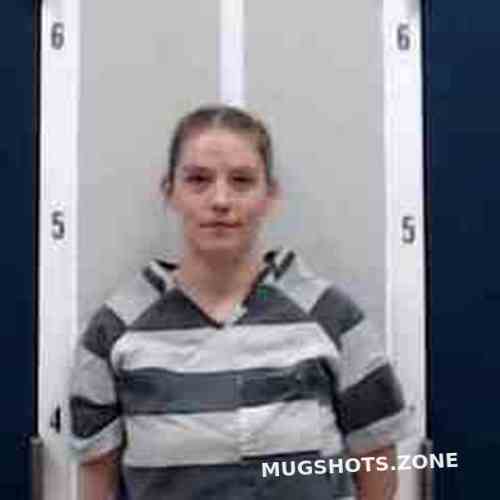 BRIDGET MOSHER 11/25/2023 - DeKalb County Mugshots Zone