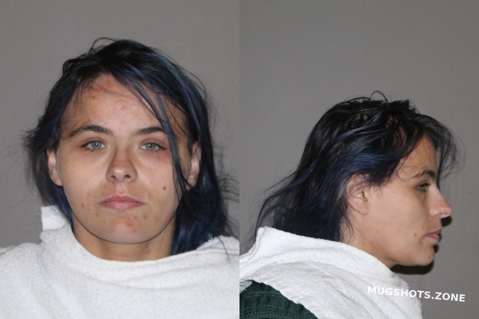 GREEN AMY MICHELLE 08/27/2021 - Denton County Mugshots Zone