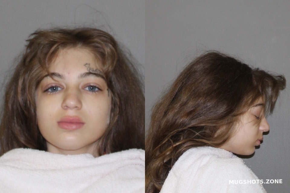 HASHEMI SEYEDEH MARYYAM 09/20/2022 - Denton County Mugshots Zone