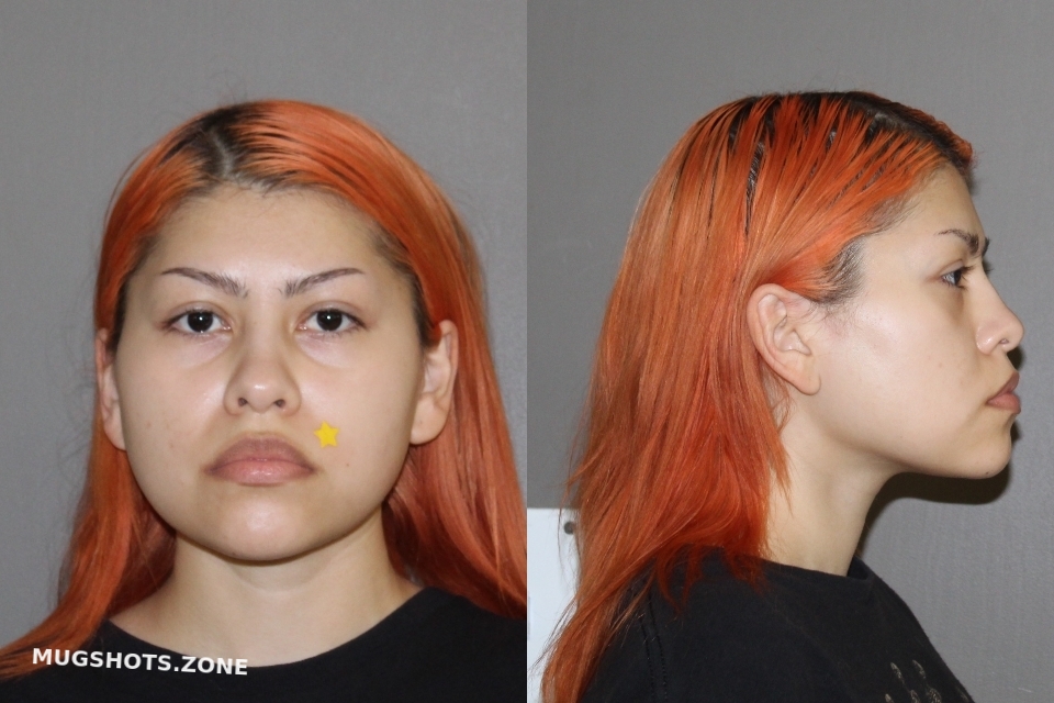 Borrego Kara Alexandra 04 14 2023 Denton County Mugshots Zone