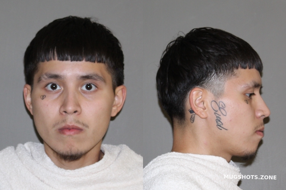 TORRES DARYL 07/10/2023 - Denton County Mugshots Zone