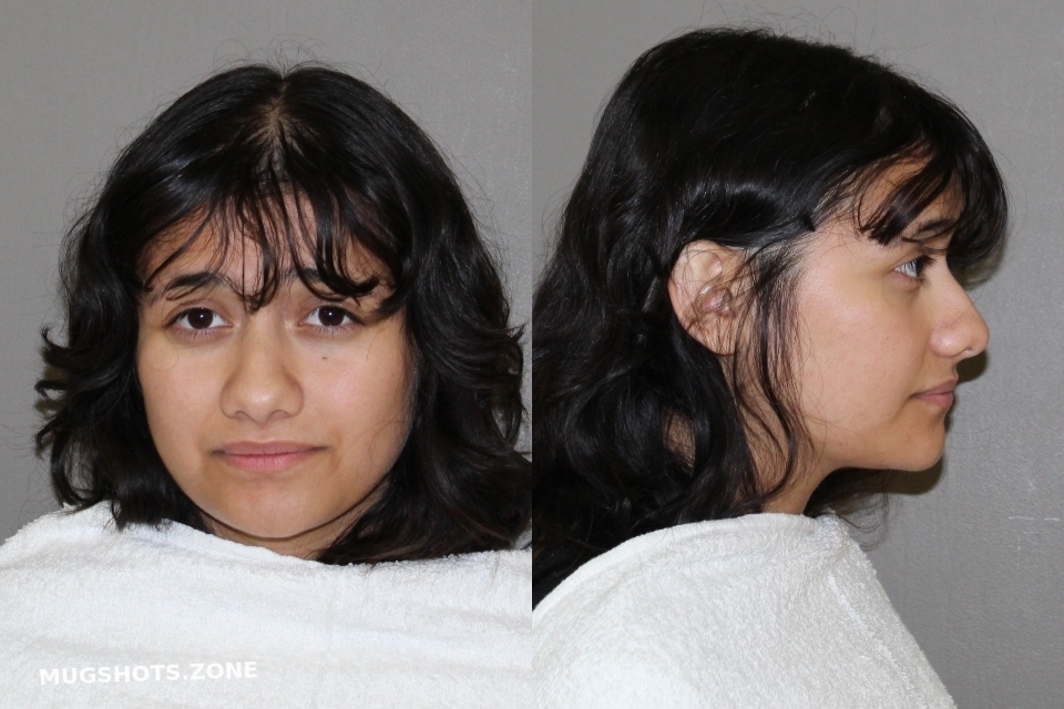 NATAL JADE MONIQUE 09/11/2023 Denton County Mugshots Zone