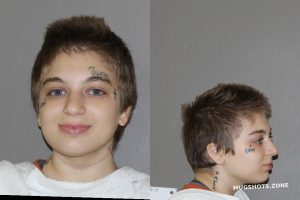 HASHEMI SEYEDEH MARYYAM 05/16/2024 - Denton County Mugshots Zone