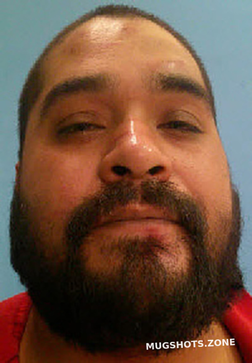 The Shocking Reveals of Desoto County Mugshots 2024: A Year of Increased Crime Rates and Unifying Forces for Community Change