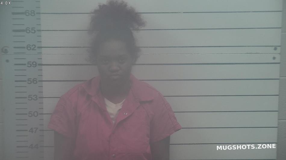 GASTON EMILY AMAYA 11/19/2022 - Desoto County Mugshots Zone