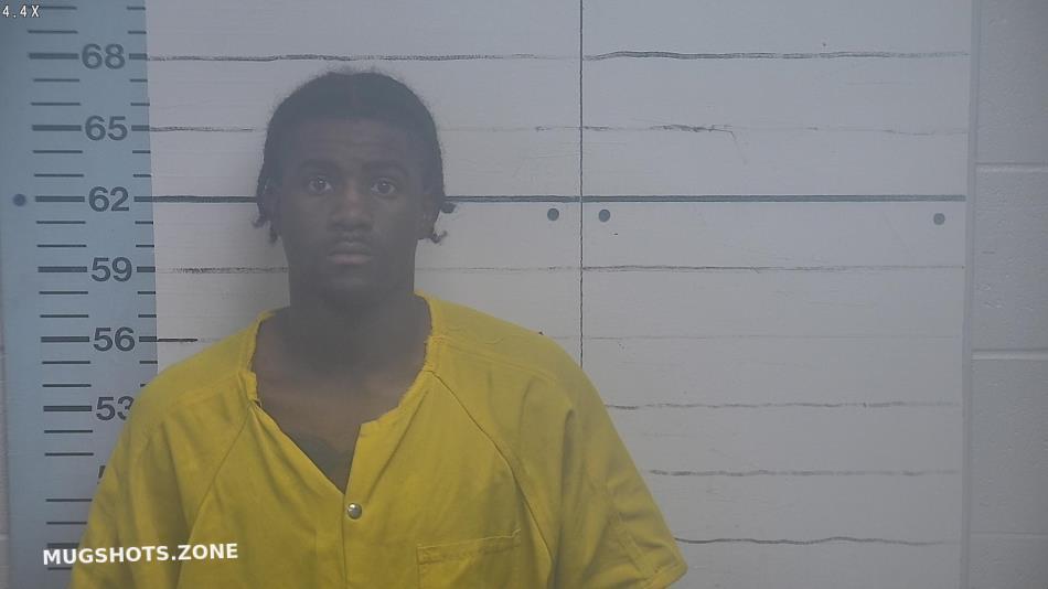 Hunt Markeith 11 22 2022 Desoto County Mugshots Zone