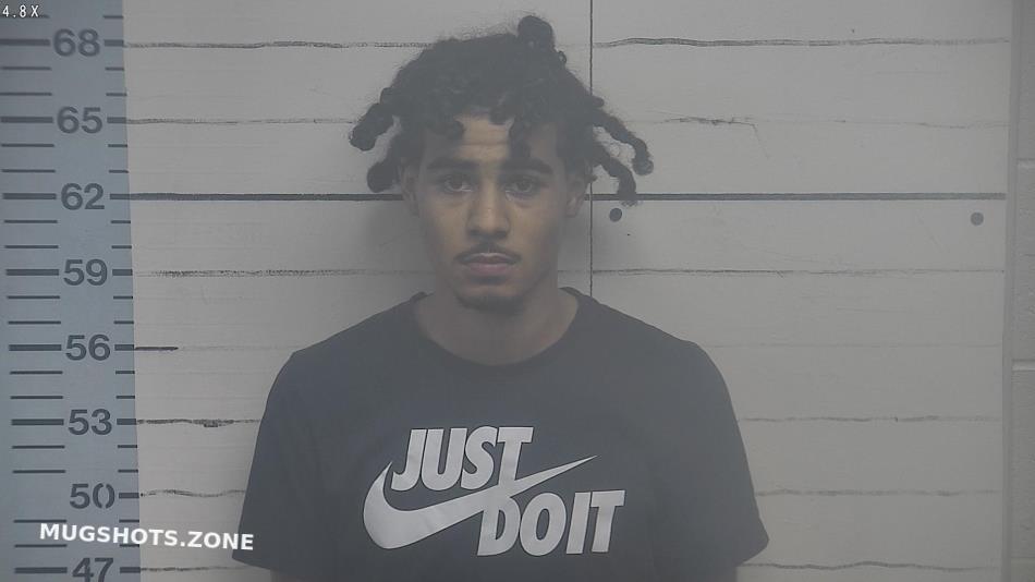 Newson Tyger 12 28 2022 Desoto County Mugshots Zone