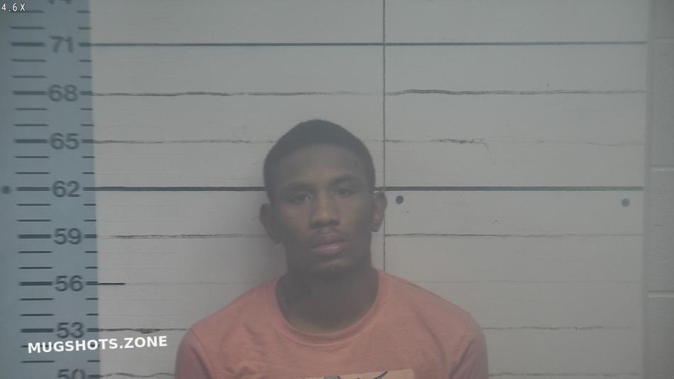 SCALES JORDAN ROSHEA 01/06/2023 Desoto County Mugshots Zone