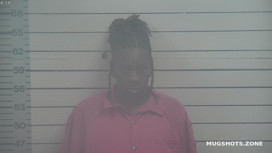 MCGEE TIFFANY MARIE 02/14/2023 - Desoto County Mugshots Zone