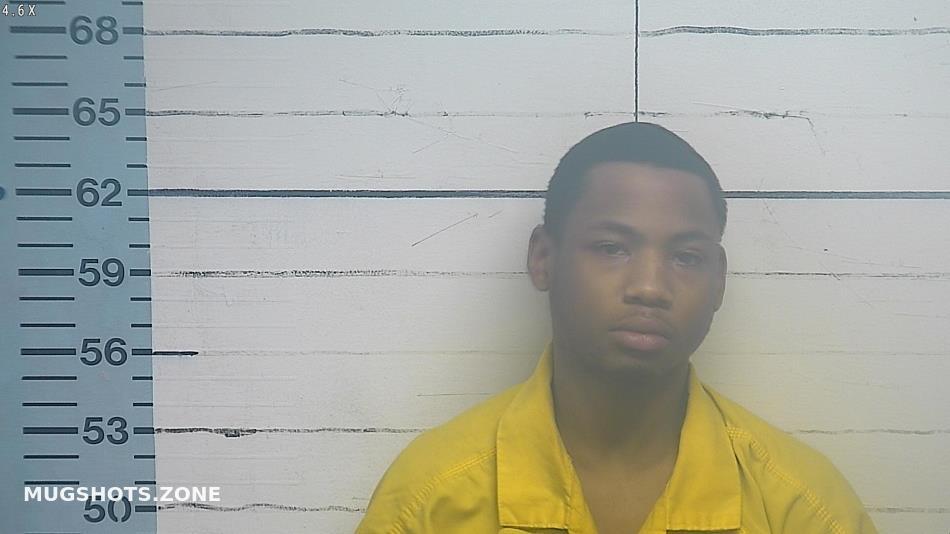 ZEIGLER NICHOLAS 03/02/2023 Desoto County Mugshots Zone