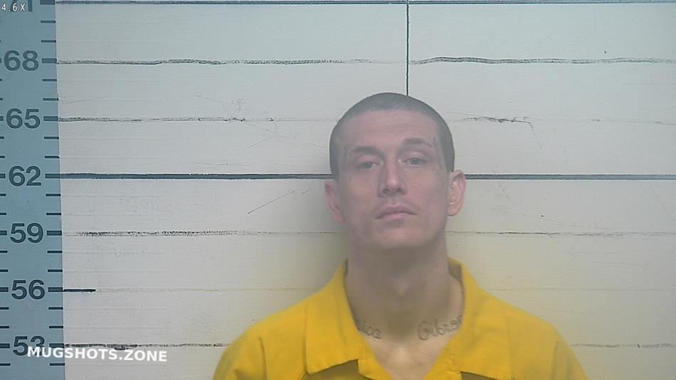 HORN DUSTIN LEE 04/06/2023 Desoto County Mugshots Zone