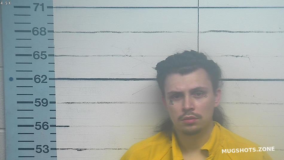 SAWYER TAYLOR T 06/22/2023 Desoto County Mugshots Zone